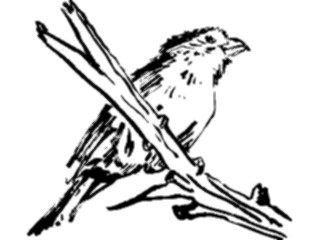 Sticker Custom Preview Image #025527 Animals Line Art Bird Perched03