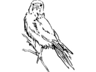 Sticker Custom Preview Image #025528 Animals Line Art Bird Perched04