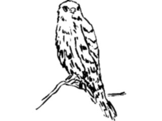 Sticker Custom Preview Image #025529 Animals Line Art Bird Perched05