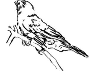 Sticker Custom Preview Image #025532 Animals Line Art Bird Perched08