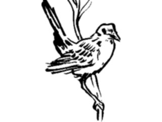 Sticker Custom Preview Image #025534 Animals Line Art Bird Perched10