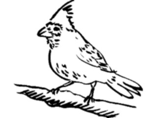 Sticker Custom Preview Image #025535 Animals Line Art Bird Perched11