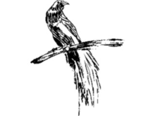Sticker Custom Preview Image #025536 Animals Line Art Bird Perched12