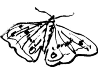 Sticker Custom Preview Image #025538 Animals Line Art Butterfly2