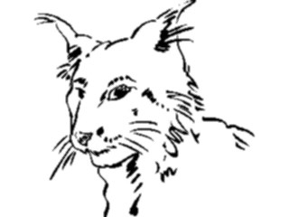 Sticker Custom Preview Image #025544 Animals Line Art Cat04