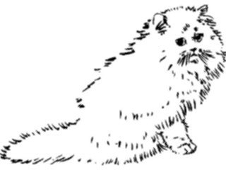 Sticker Custom Preview Image #025550 Animals Line Art Cat10