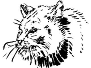 Sticker Custom Preview Image #025552 Animals Line Art Cat12