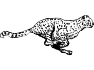 Sticker Custom Preview Image #025555 Animals Line Art Cheetah1