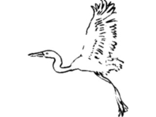Sticker Custom Preview Image #025564 Animals Line Art Crane2