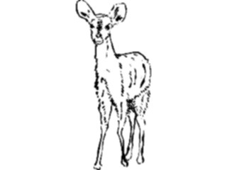 Sticker Custom Preview Image #025570 Animals Line Art Deer5