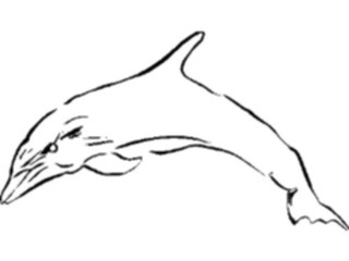 Sticker Custom Preview Image #025612 Animals Line Art Dolphin1