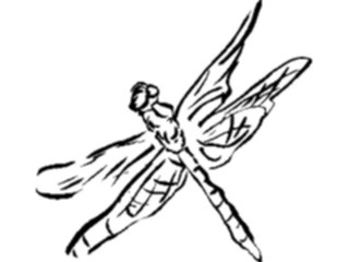 Sticker Custom Preview Image #025614 Animals Line Art Dragonfly1