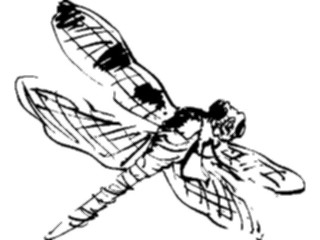 Sticker Custom Preview Image #025616 Animals Line Art Dragonfly3