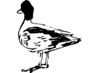 Sticker Custom Preview Image #025617 Animals Line Art Duck Loon