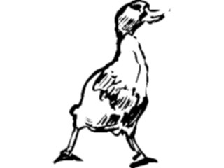 Sticker Custom Preview Image #025618 Animals Line Art Duck Mallard1