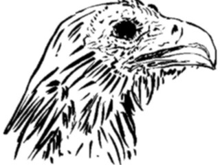 Sticker Custom Preview Image #025620 Animals Line Art Eagle1