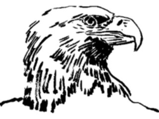 Sticker Custom Preview Image #025621 Animals Line Art Eagle2