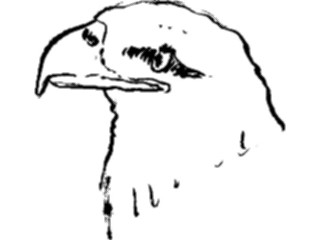 Sticker Custom Preview Image #025622 Animals Line Art Eagle3