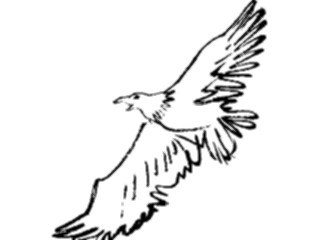 Sticker Custom Preview Image #025623 Animals Line Art Eagle4