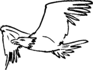 Sticker Custom Preview Image #025624 Animals Line Art Eagle5