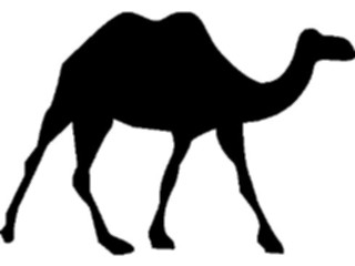 Sticker Custom Preview Image #025841 Animals Silhouettes Camel3