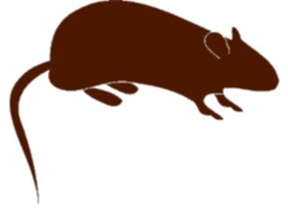 Sticker Custom Preview Image #026118 Animals Silhouettes Mouse1