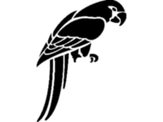 Sticker Custom Preview Image #026133 Animals Silhouettes Parrot