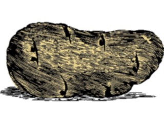 Sticker Custom Preview Image #026595 Antique Style Miscellaneous Potato