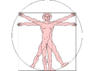 Sticker Custom Preview Image #029679 Art Design Fine Artda Vinci Sketch4