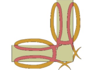 Sticker Custom Preview Image #032519 Borders Corners Corner0877