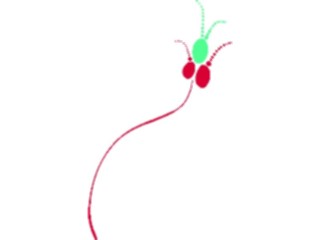 Sticker Custom Preview Image #044116 Cartoons Offbeat Seedsprout Stem