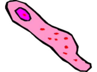 Sticker Custom Preview Image #050286 Education Schools Cartoons Biology Bacteria10