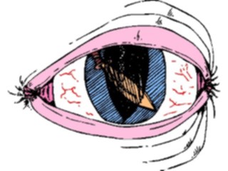 Sticker Custom Preview Image #055998 Fantasy Medieval Images Eye Sword