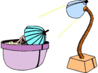 Sticker Custom Preview Image #056589 Fantasy Medieval Images Little Person Sunbathing