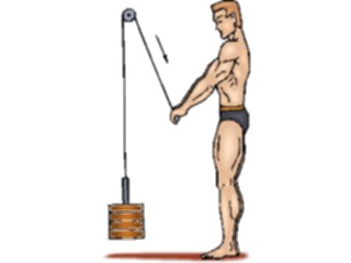 Sticker Custom Preview Image #059306 Fitness Stretching Exercise Weight Lifting44