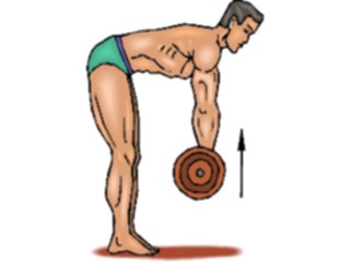 Sticker Custom Preview Image #059308 Fitness Stretching Exercise Weight Lifting46
