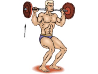 Sticker Custom Preview Image #059310 Fitness Stretching Exercise Weight Lifting48
