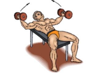 Sticker Custom Preview Image #059313 Fitness Stretching Exercise Weight Lifting51