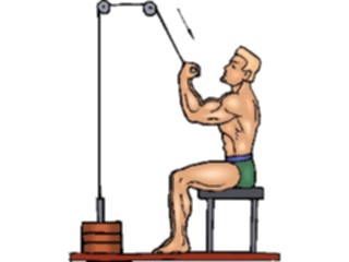 Sticker Custom Preview Image #059316 Fitness Stretching Exercise Weight Lifting54