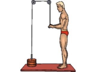 Sticker Custom Preview Image #059319 Fitness Stretching Exercise Weight Lifting57
