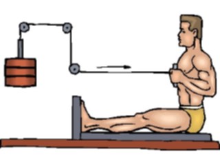 Sticker Custom Preview Image #059322 Fitness Stretching Exercise Weight Lifting60