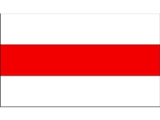 Sticker Custom Preview Image #059669 Flags World Belorussia3