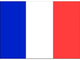 Sticker Custom Preview Image #059774 Flags World French Guiana