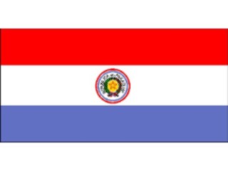 Sticker Custom Preview Image #059962 Flags World Paraguay1