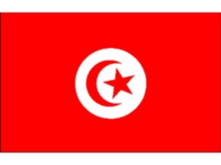 Sticker Custom Preview Image #060060 Flags World Tunisia1