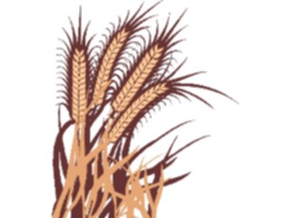 Sticker Custom Preview Image #060556 Food Drink Breads Cereals Wheat10