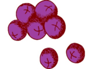 Sticker Custom Preview Image #063752 Food Drink Fruits Blueberries4