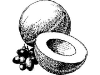 Sticker Custom Preview Image #063754 Food Drink Fruits Cantaloupe1