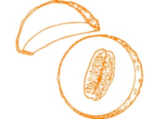 Sticker Custom Preview Image #063757 Food Drink Fruits Cantaloupe4