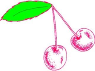 Sticker Custom Preview Image #063786 Food Drink Fruits Cherries28